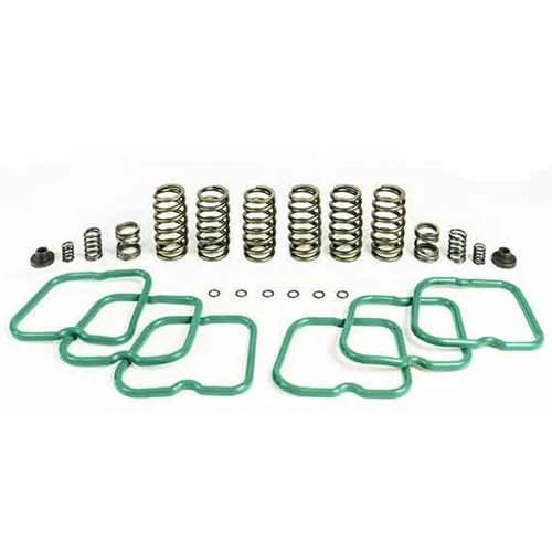 PacBrake HP10244 PacPro Premium Spring Kit with 6 HD Valve Springs 94-98 Dodge 5.9L Cummins