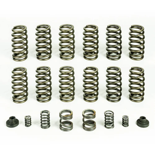 PacBrake HP10245 PacPro Spring Kit with 12 HD Valve Springs 94-98 Dodge 5.9L Cummins