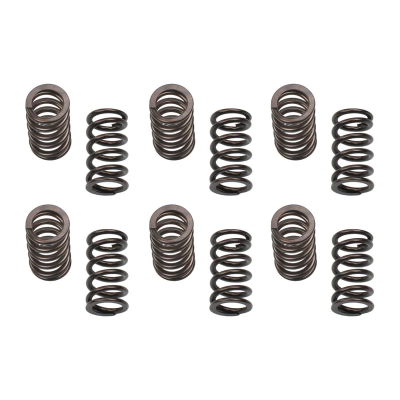 Industrial Injection 150 lbs. Valve Springs 89-98 5.9L 12 Valve Cummins